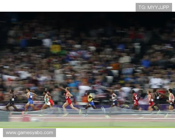 YB体育在线用户常见问题解答与使用技巧全攻略